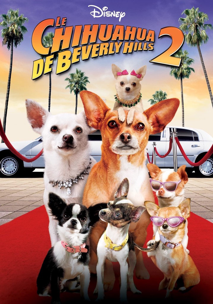 Regarder Le Chihuahua De Beverly Hills 2 En Streaming